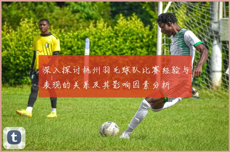 深入探讨杭州羽毛球队比赛经验与表现的关系及其影响因素分析